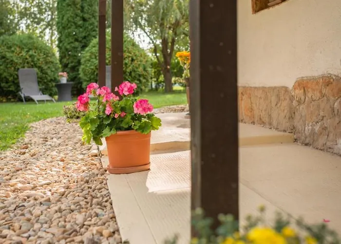 Vakantiehuis Lovely Velence