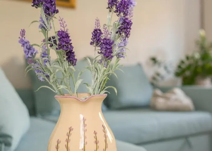 Dom wakacyjny Lovely *